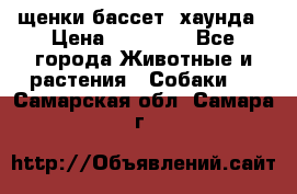 щенки бассет- хаунда › Цена ­ 20 000 - Все города Животные и растения » Собаки   . Самарская обл.,Самара г.